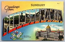 c1940 Greetings From Large Letter Sunbury Pennsylvania PA Capitol Linen Postcard picture