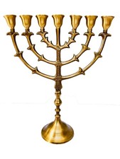 Salomons Menorah 12