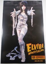 💀🩸 ELVIRA IN MONSTERLAND #1 PHOTO VARIANT D VF DYNAMITE Mistress of the Dark picture