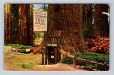 Tree House Park CA-California, World Famous Tree House, Vintage Postcard picture