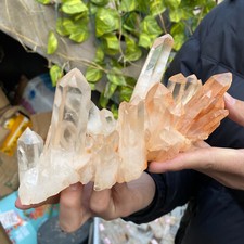 2.1LB A+Large Natural clear white Crystal Himalayan quartz cluster /mineralsls picture