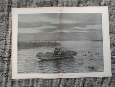 1896 A.B. Frost Duck Hunting Centerfold, Election Night NYC, Horse Show — Nov 14 picture