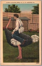c1940s St. Augustine, Florida Postcard 