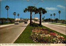 Palm lined Causeway Clearwater Beach Florida cars flowers ~ mailed 1981 postcard picture