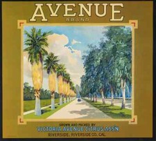 Avenue Brand Citrus Fruit Crate Label Riverside California Palm Trees Art Print picture