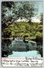 Vintage 1905 Peekskill N.Y. Postcard Scene On Annsville Creek - Posted picture