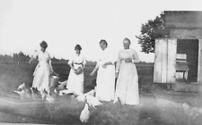Vintage Circa 1940's Photo 4 Farm Women Feeding The Chickens picture