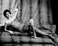 Rare Vintage Ava Gardner Pin-Up 8x10 Photo - Hollywood Glamour picture