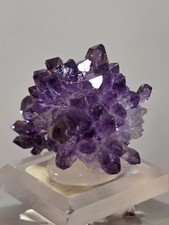 Choice Amethyst Crystal Cluster Kakamunurle Mine, Karur, Tamil Nadu, India picture