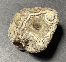 Sumatra Rough Heavy Banding Agate, 100% All Natural 45x45x40mm, 5.1oz #400 picture