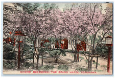 c1910 Cherry Blossoms The Grand Hotel Yokohama Japan Antique Postcard picture