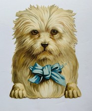 Antique Jumbo Yorkshire Terrier Dog Die Cut Victorian Litho Embossed Print VTC picture