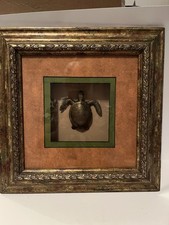 Beautiful Custom Framed 3 D metal Turtle Picture picture