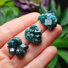 Dioptase Crystal picture