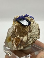 Azurite Crystals in Matrix Specimen - Morocco -  picture