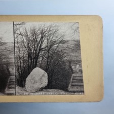 Selborne Hanger Stereoview C1880 Standard Hampshire The Ancient Wishing Stone picture
