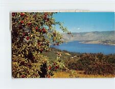 Postcard Lake Chelan, Washington picture