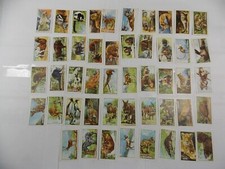 Gallaher Cigarette Cards Wild Animals 1937 Complete Set 48 picture