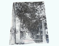 Lovers Lane Casselton ND Vintage Postcard Black & White 1910s Writing on Back picture