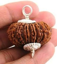 17 Mukhi Rudraksha Pendant, Lab Certified, Silver, 18-20mm, Indonesian Origin picture