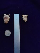Two San Patrice points found Angelina County Texas  picture