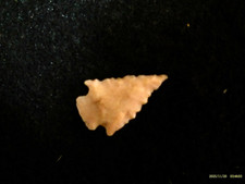 Authentic West Texas Bird Point Arrowhead, Indian Artifacts *FREE SHIPPING* PR77 picture