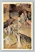 Prairie Dogs, Crystal Cave Pennsylvania Vintage Postcard picture