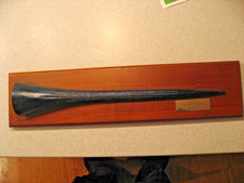 Mounted 150lb Striped Marlin Bill Rostrum Baja California, Mex about 18