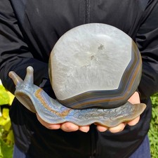 2.49LB Natural agate geode quartz crystal engrave snail skull healing gift decor picture