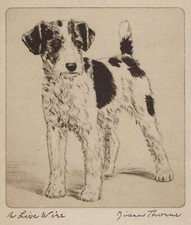 Wire Fox Terrier - CUSTOM MATTED - Vintage Dog Art Print - 1936 Diana Thorne picture