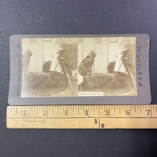 Amateur Photography Stereoview International Stereoscopic View Co. New York City picture