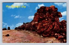 AZ- Arizona, Old Faithful Petrified Forest National Monument, Vintage Postcard picture