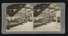 Photo:San Francisco CA Sutro Baths Museum 1908 Interior Stereo View picture