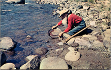 Vintage Plastichrome Postcard THE OLD MINER Gold Panning California Mother Lode picture