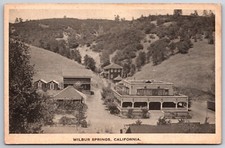 Birds Eye View Wilbur Springs California CA UNP Albertype DB Postcard E14 picture
