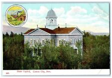 c1910 State Capitol Exterior View Building Carson City Nevada Vintage Postcard picture