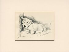 JACK RUSSELL TERRIER SLEEPS ON SEAT  1937 MOUNTED DOG ART PRINT by LUCY DAWSON picture