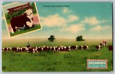 Oklahoma - Typical Oklahoma Ranch, Natural Live Stock Country - Vintage Postcard picture