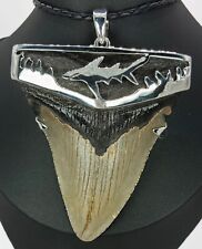 Large Fossil Meg Shark Tooth Pendant – Megalodon Tooth with Sterling Silver Cap picture