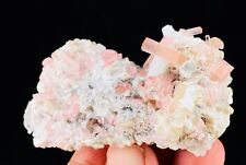 Hot Pink TOURMALINE Crystal Cluster On LEPIDOLITE and ALBITE Crystals Matrix picture