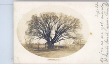 1905  Ware MA   photo postcard picture