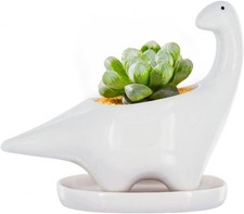 Elegant White Dinosaur Pot - 5