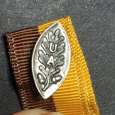 Antique Sterling Silver Pin, Oak Leaves & Acorns, 