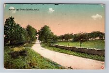 Delphos OH-Ohio, Scenic Greetings, Roadway c1914 Vintage Souvenir Postcard picture