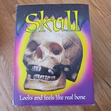Vintage Topstone Industries Halloween Realistic Skull Prop Life Like Size Retro picture