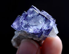 29g Natural Phantom Purple Fluorite & Pyrite Mineral Specimen/Yaogangxian China picture