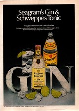 1981 • Seagram's Extra Dry Gin • Print Ad • 80s Fashion  • iA.27 picture