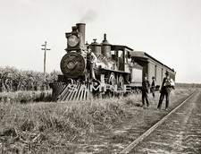 1897 Vintage TRAIN STOPPED in LOUISIANA Cane Fields 8.5x11 PHOTO picture