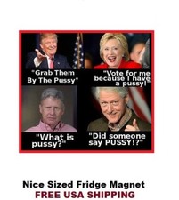 557 - Funny Grab Pussy Meme Nice Refrigerator Magnet  picture