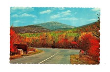 Cadillac Mountain Mt Desrt Island ME Postcard Autumn Maine Bar Harbor picture